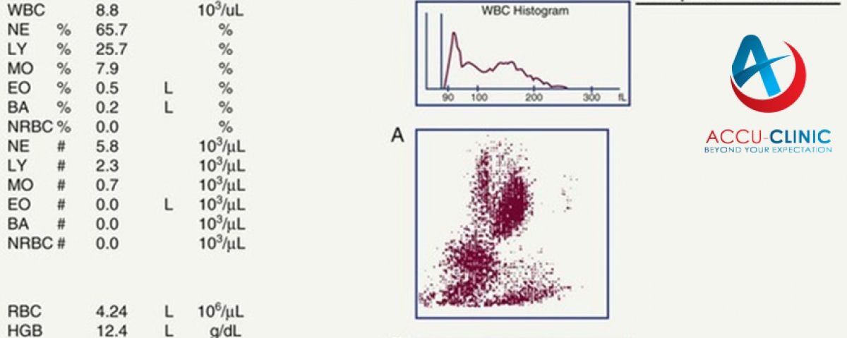 Automated cell counter reports